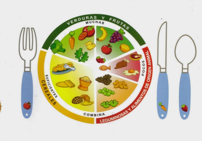 Imagenes Animadas Del Plato Del Buen Comer El Plato Del Buen Comer